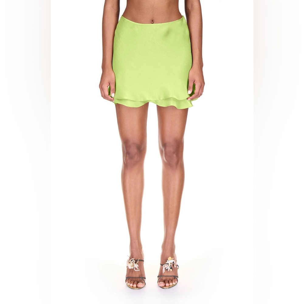 NWT PriscaVera skirt in Medium